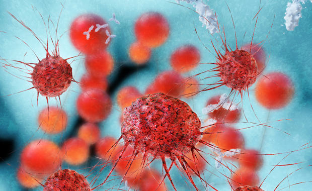 Harnessing the Immune System to Treat Cancer