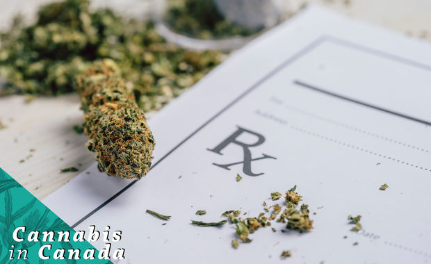 The Rec Effect How Legalization Affects Medical Cannabis Users