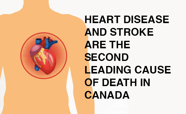 Canadian Scientific Discovery In The Battle To Defeat Cardiovascular Disease