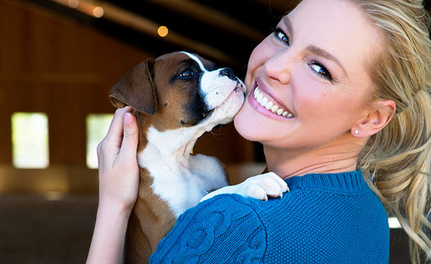 Katherine Heigl A Voice For Shelter Pets
